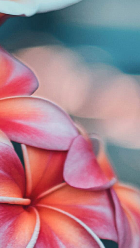 AUGUST 2024 WALLPAPERS – 54 FREE PHONE &amp; DESKTOP CALENDARS!, Oh So Lovely Blog
