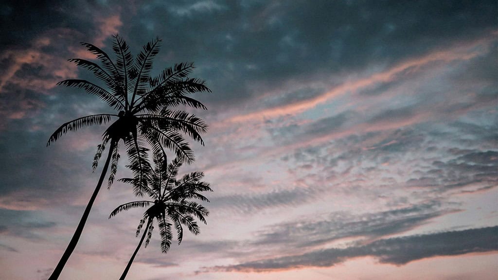 AUGUST 2024 WALLPAPERS – 54 FREE PHONE &amp; DESKTOP CALENDARS!, Oh So Lovely Blog
