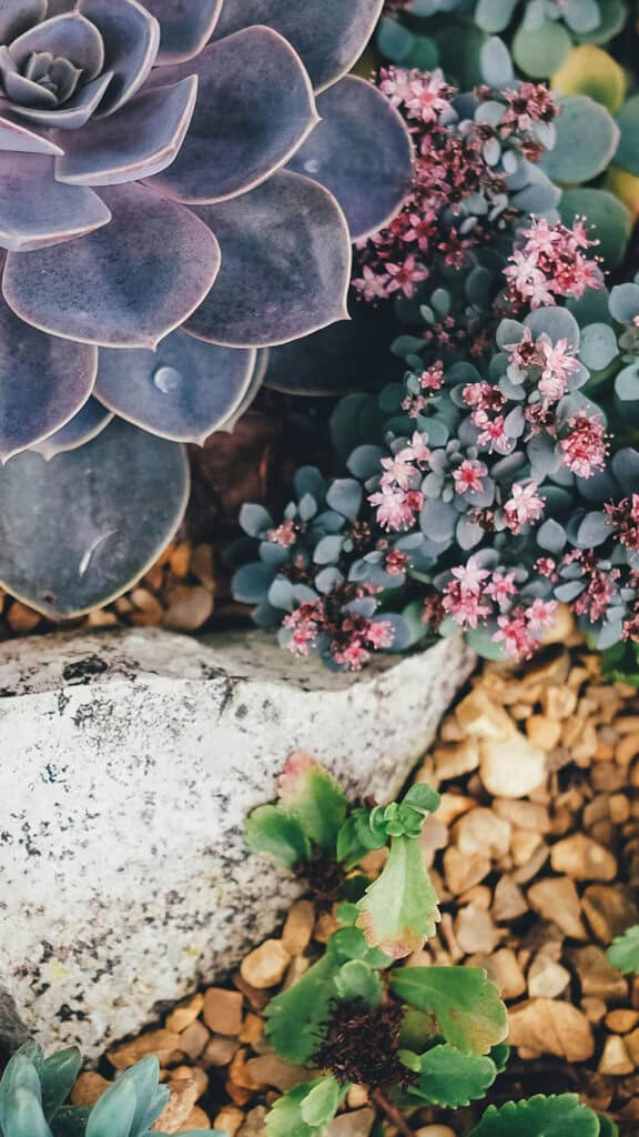 AUGUST 2024 WALLPAPERS – 54 FREE PHONE &amp; DESKTOP CALENDARS!, Oh So Lovely Blog