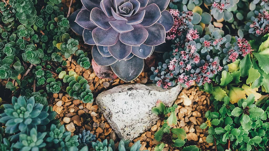 AUGUST 2024 WALLPAPERS – 54 FREE PHONE &amp; DESKTOP CALENDARS!, Oh So Lovely Blog
