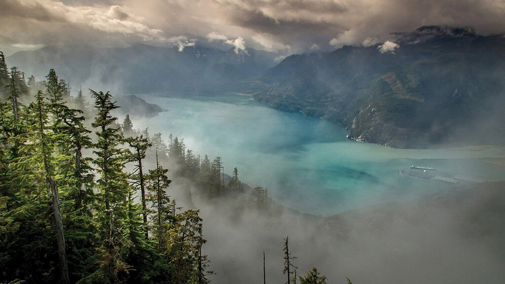 AUGUST 2024 WALLPAPERS – 54 FREE PHONE &amp; DESKTOP CALENDARS!, Oh So Lovely Blog