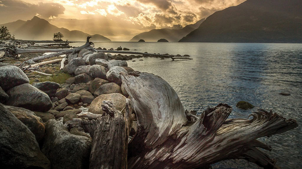 AUGUST 2024 WALLPAPERS – 54 FREE PHONE &amp; DESKTOP CALENDARS!, Oh So Lovely Blog