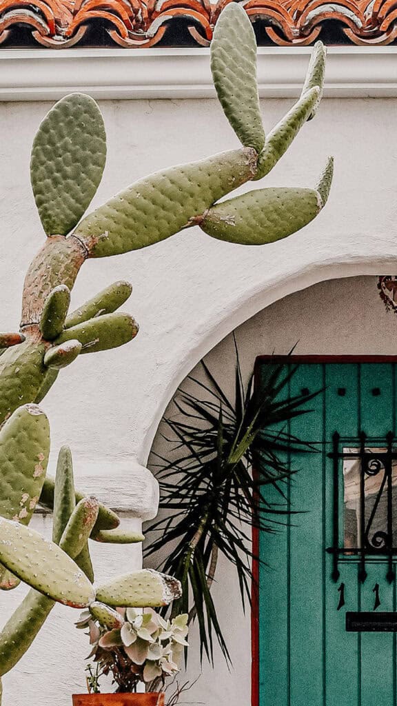 AUGUST 2024 WALLPAPERS – 54 FREE PHONE &amp; DESKTOP CALENDARS!, Oh So Lovely Blog