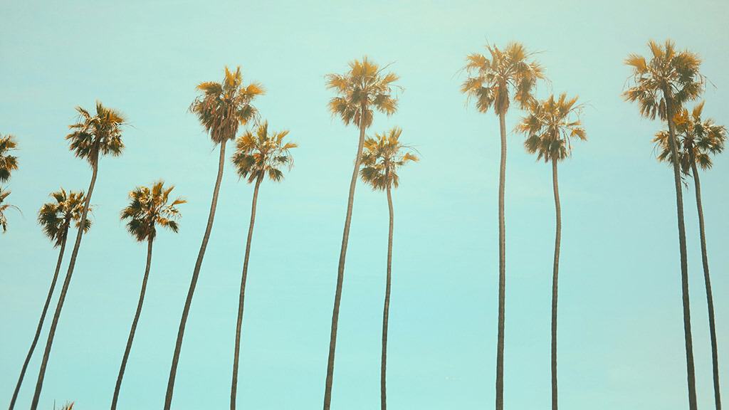 AUGUST 2024 WALLPAPERS – 54 FREE PHONE &amp; DESKTOP CALENDARS!, Oh So Lovely Blog