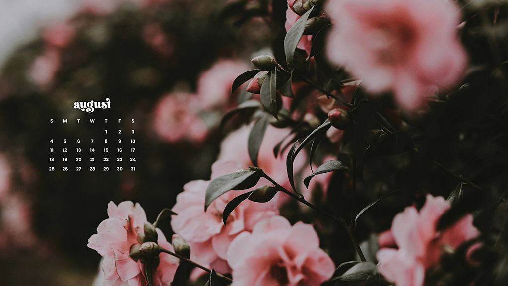 AUGUST 2024 WALLPAPERS – 54 FREE PHONE &amp; DESKTOP CALENDARS!, Oh So Lovely Blog