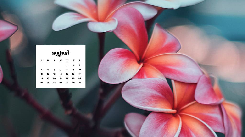 AUGUST 2024 WALLPAPERS – 54 FREE PHONE &amp; DESKTOP CALENDARS!, Oh So Lovely Blog