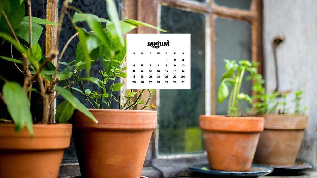 AUGUST 2024 WALLPAPERS – 54 FREE PHONE &amp; DESKTOP CALENDARS!, Oh So Lovely Blog