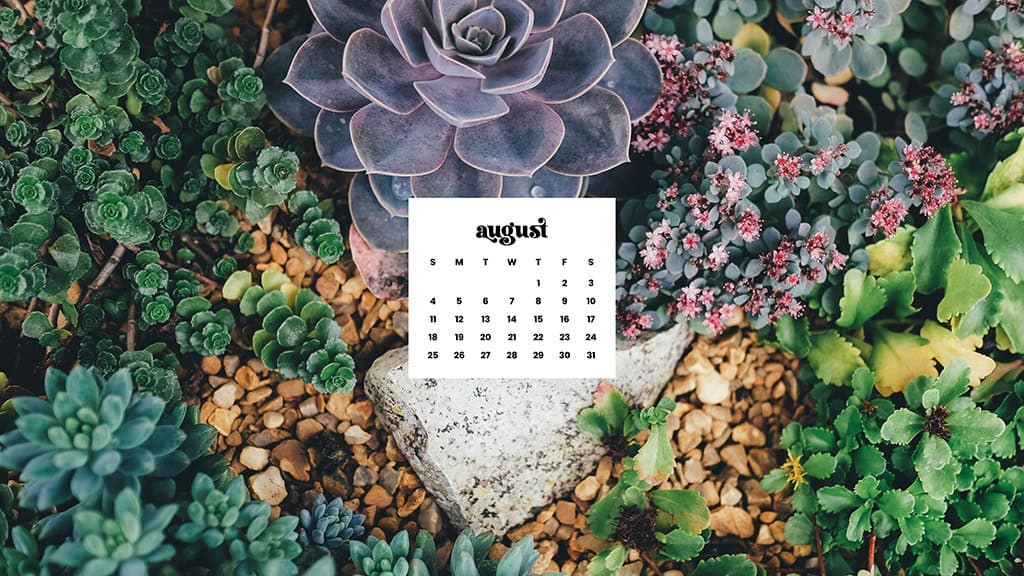 AUGUST 2024 WALLPAPERS – 54 FREE PHONE &amp; DESKTOP CALENDARS!, Oh So Lovely Blog