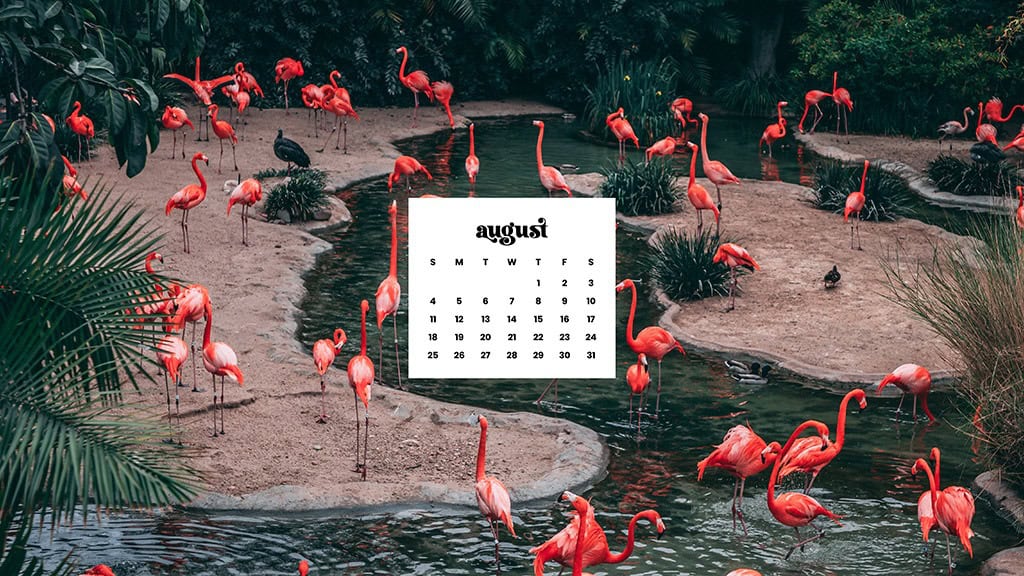 AUGUST 2024 WALLPAPERS – 54 FREE PHONE &amp; DESKTOP CALENDARS!, Oh So Lovely Blog