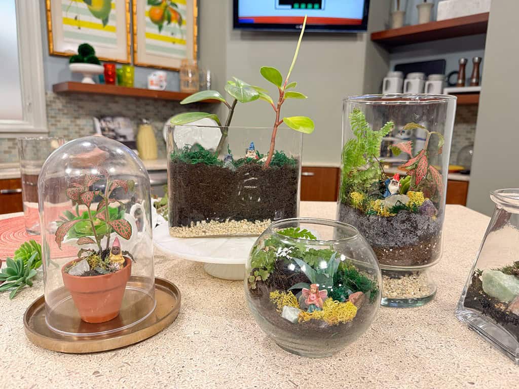How to Make a DIY Terrarium, Oh So Lovely Blog