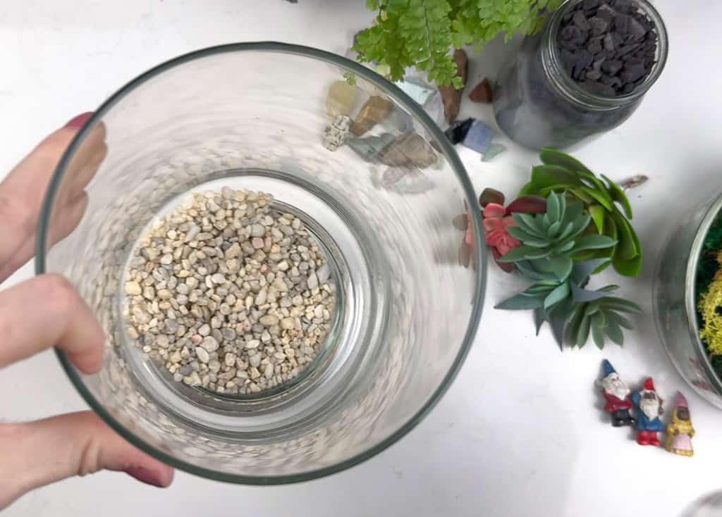 DIY terrarium