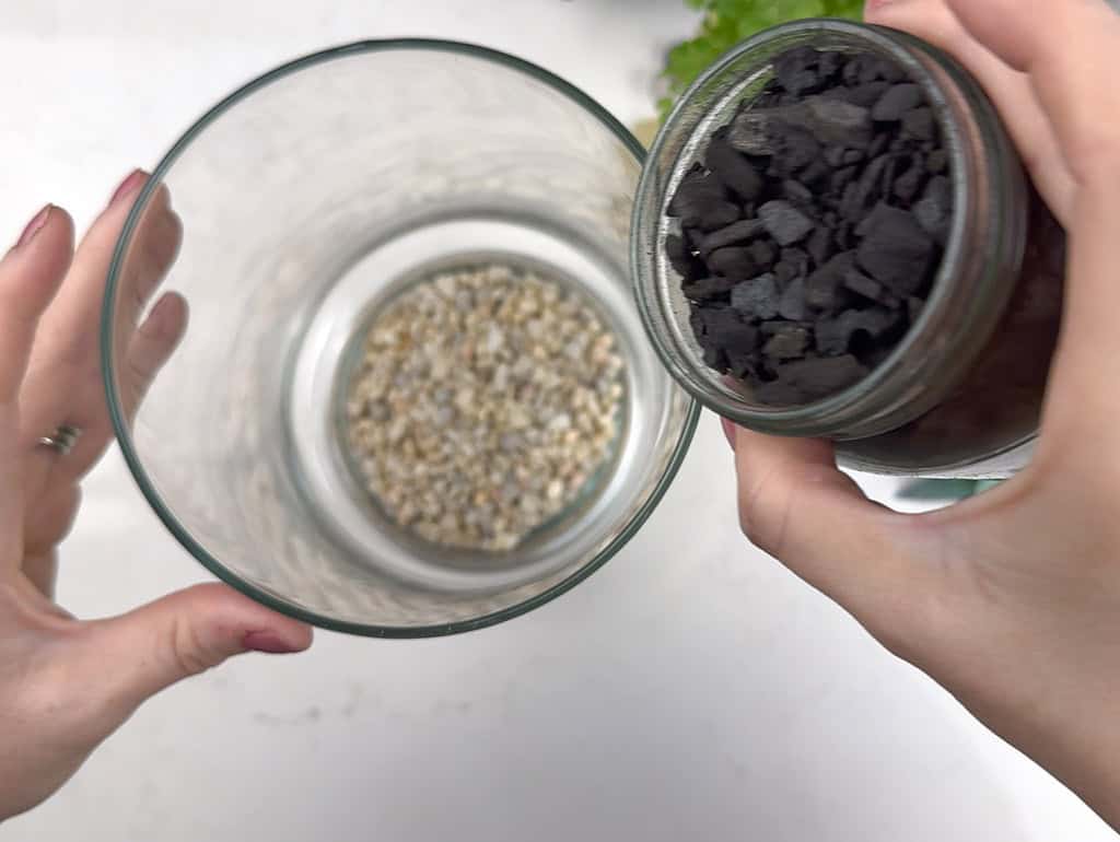 DIY terrarium
