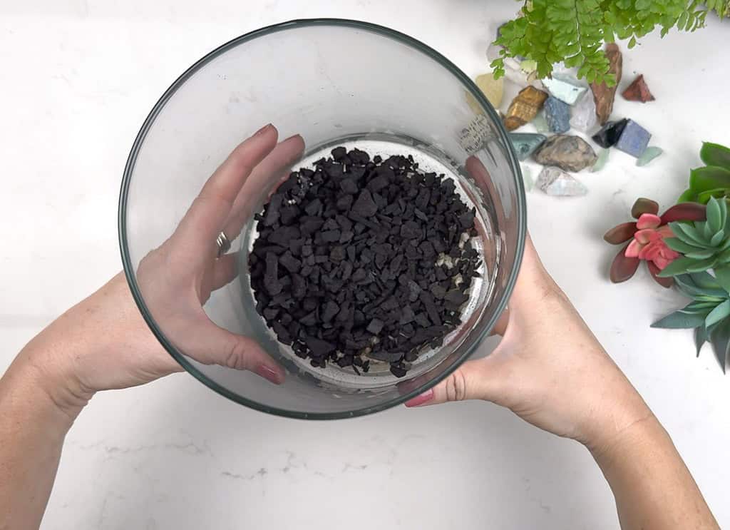 DIY terrarium