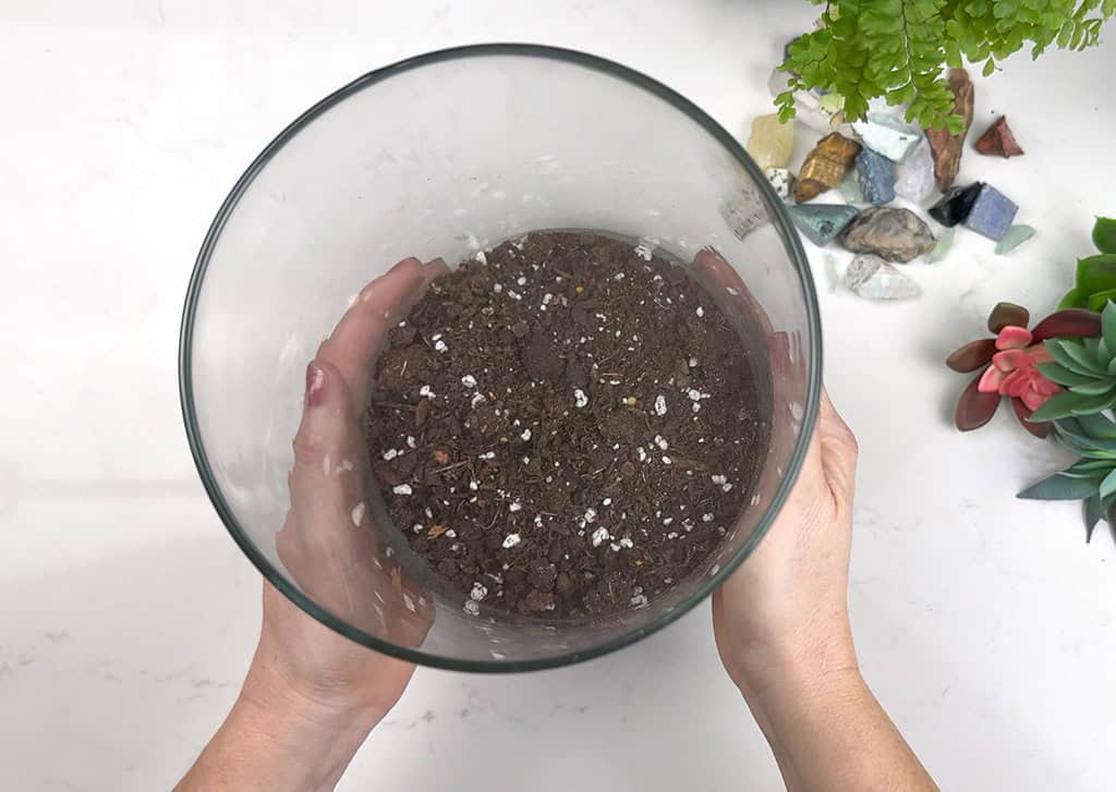 DIY terrarium