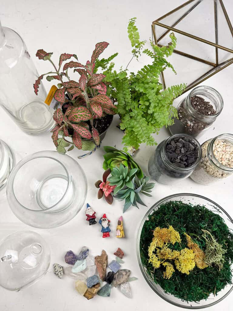How to Make a DIY Terrarium, Oh So Lovely Blog