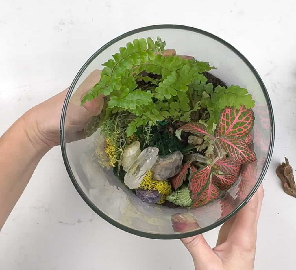 DIY terrarium