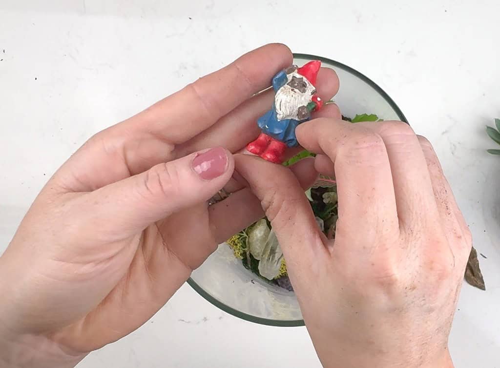 DIY terrarium