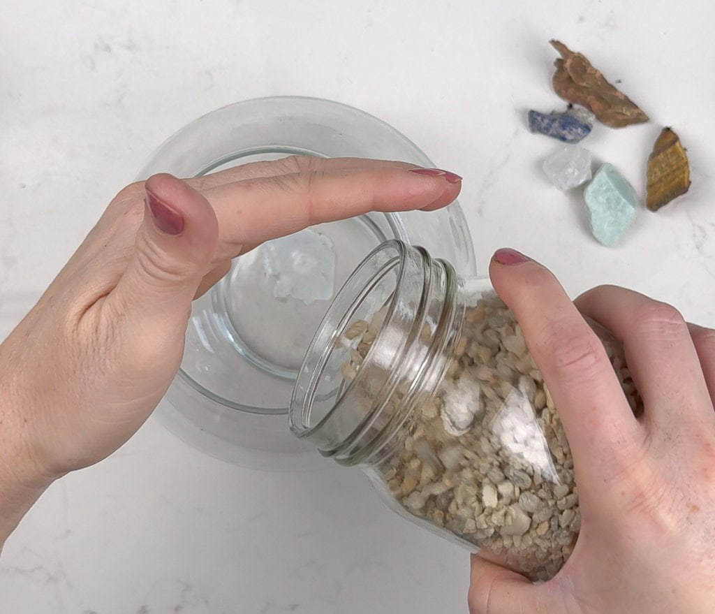 DIY terrarium