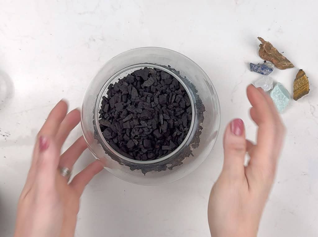 DIY terrarium