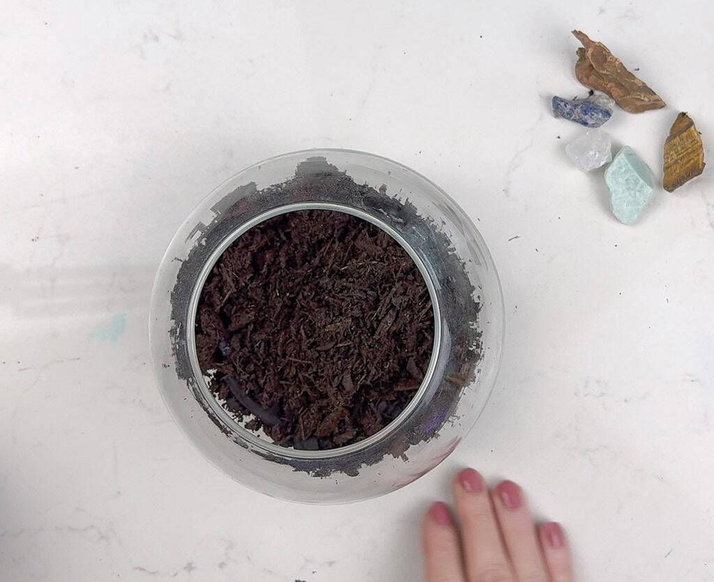 How to Make a DIY Terrarium, Oh So Lovely Blog