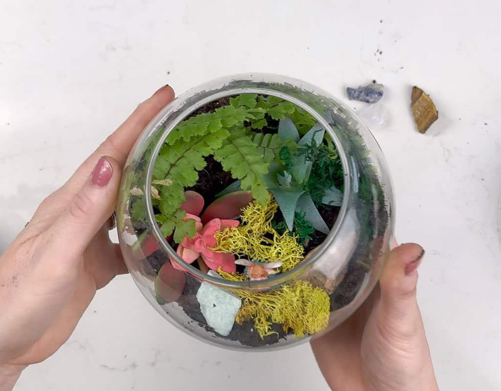 How to Make a DIY Terrarium, Oh So Lovely Blog