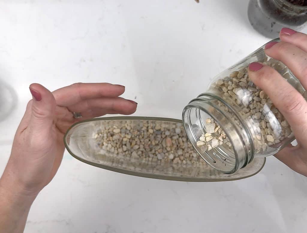 DIY terrarium