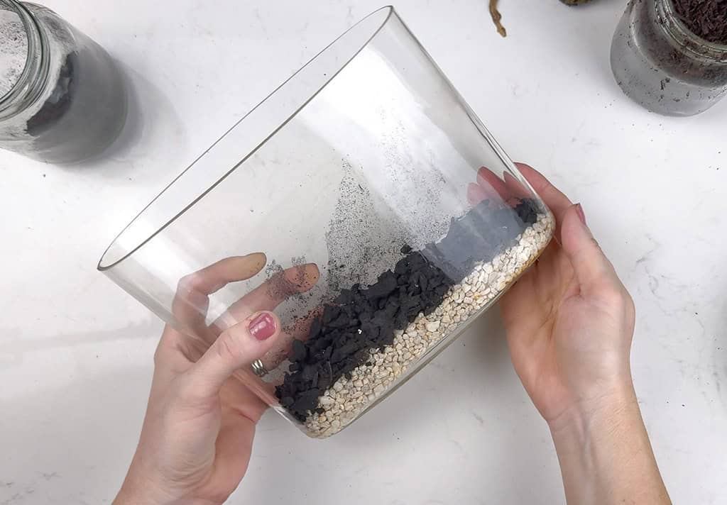 DIY terrarium