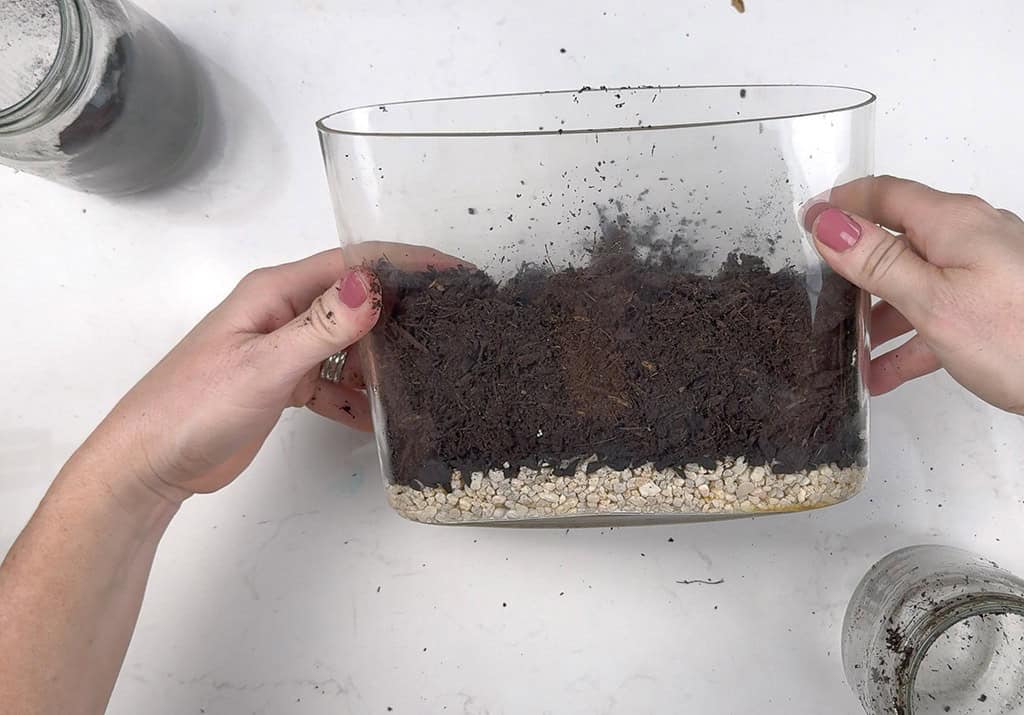 DIY terrarium