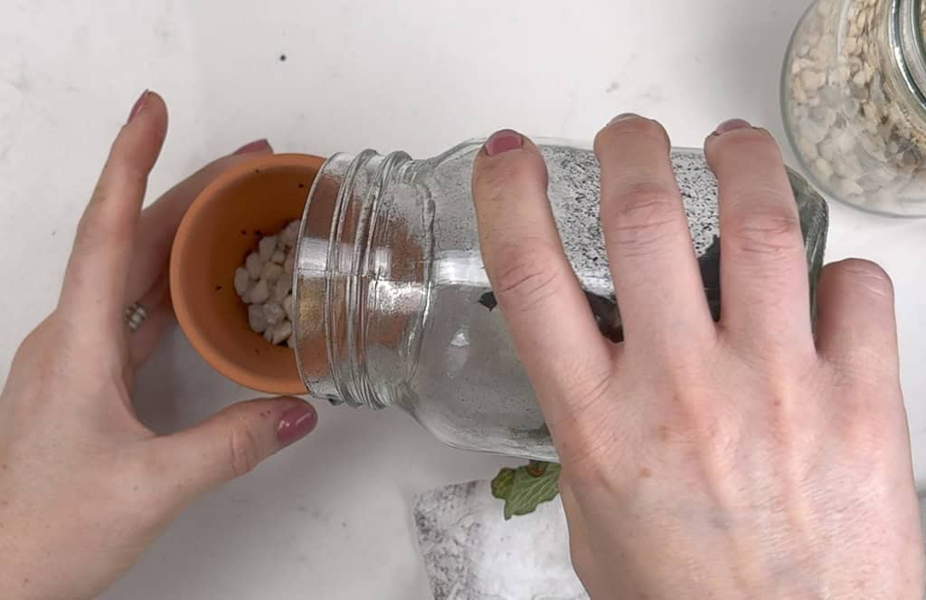 How to Make a DIY Terrarium, Oh So Lovely Blog