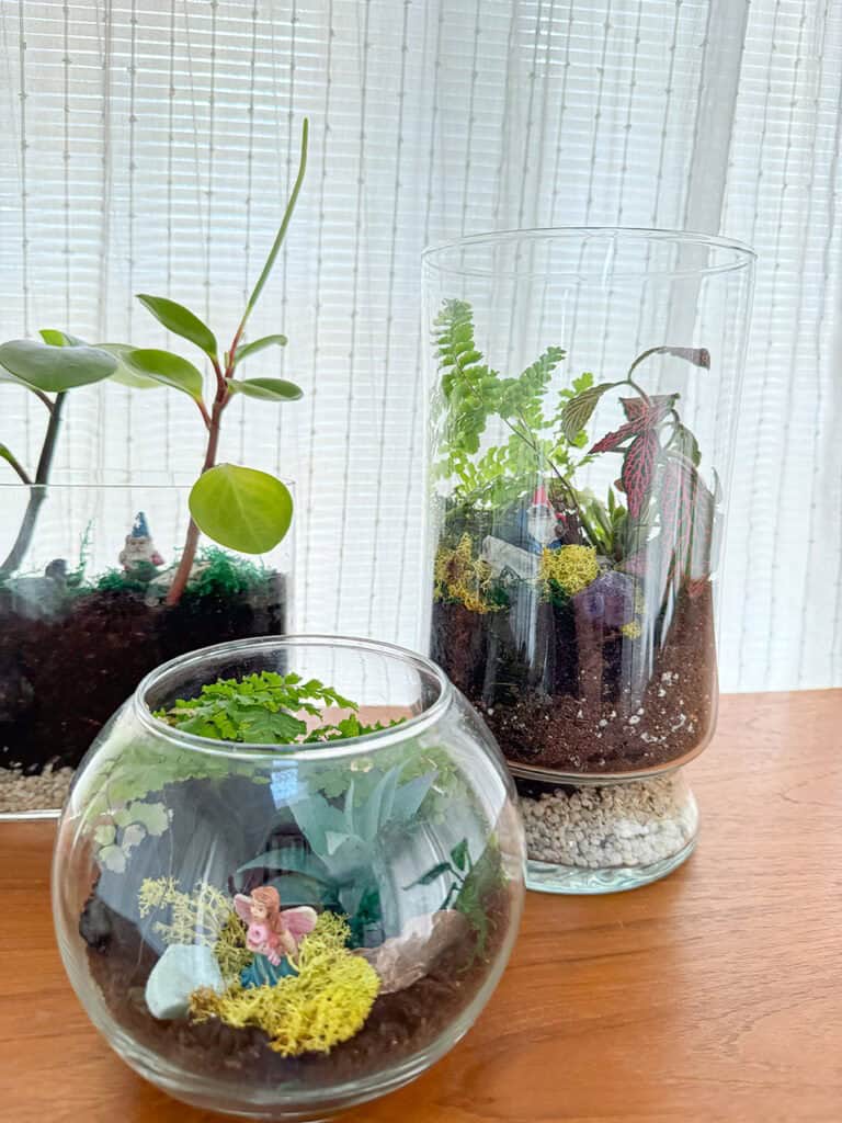 DIY terrarium