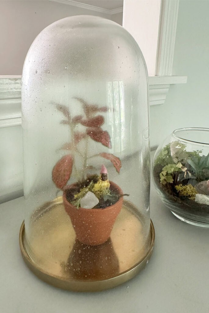 How to Make a DIY Terrarium, Oh So Lovely Blog