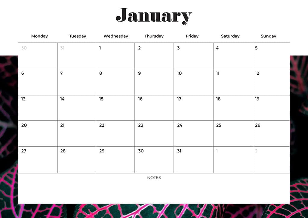 Free 2025 Calendars — 80 Printable Options — Sunday &amp; Monday Starts, Oh So Lovely Blog