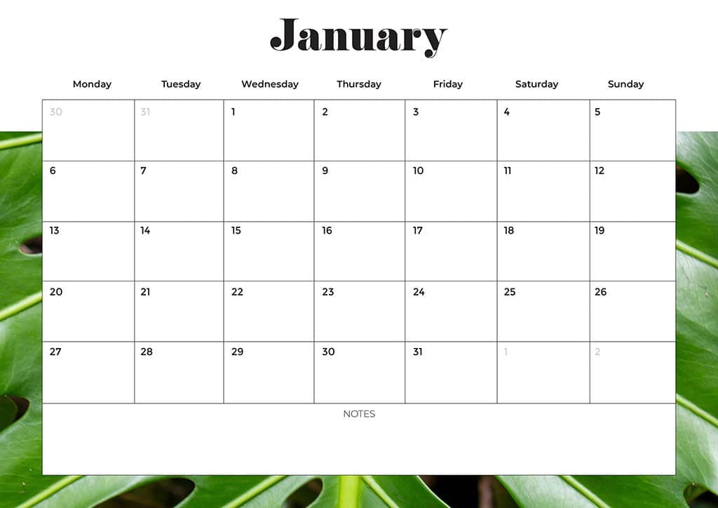 Free 2025 Calendars — 80 Printable Options — Sunday &amp; Monday Starts, Oh So Lovely Blog