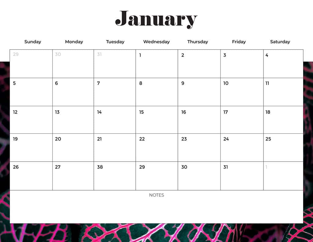 Free 2025 Calendars — 80 Printable Options — Sunday &amp; Monday Starts, Oh So Lovely Blog