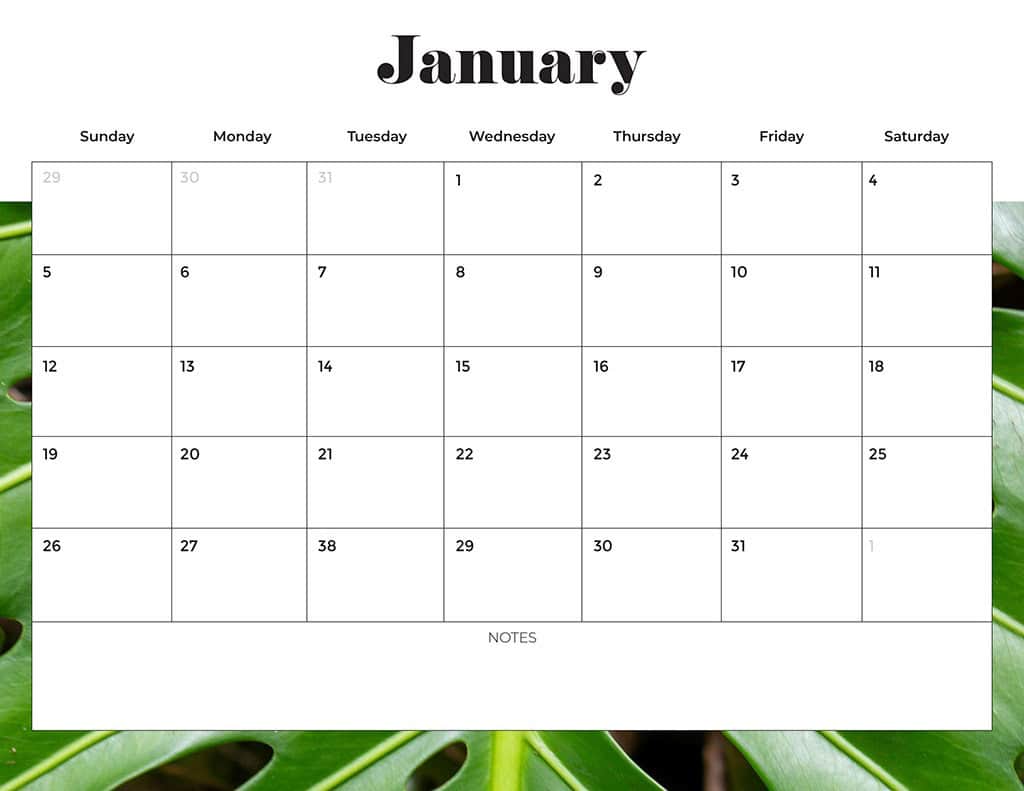 Free 2025 Calendars — 80 Printable Options — Sunday &amp; Monday Starts, Oh So Lovely Blog