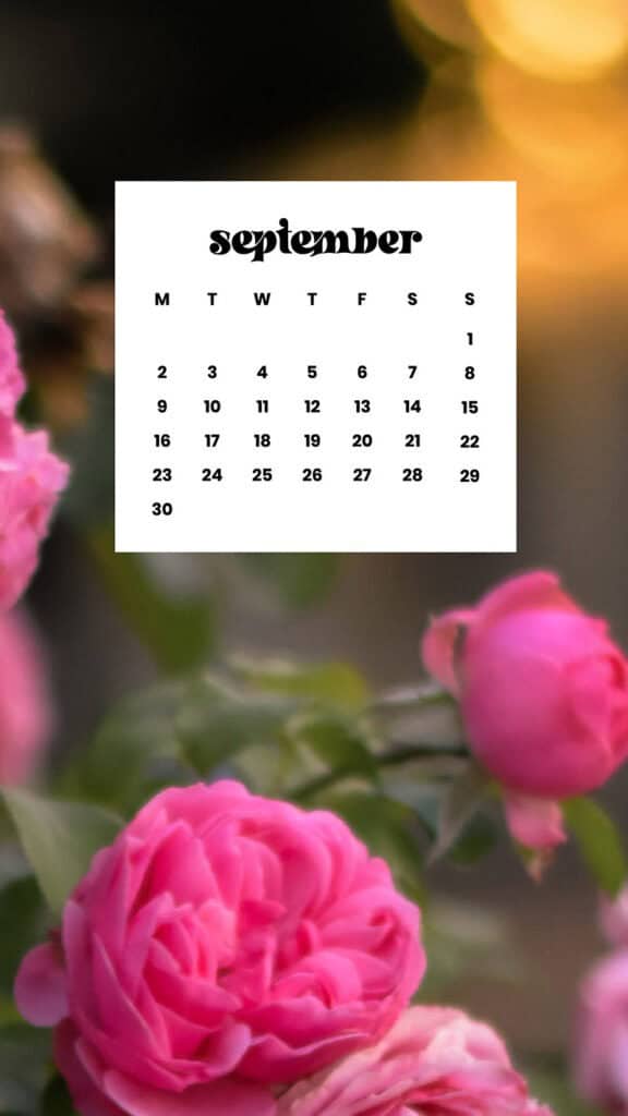 SEPTEMBER 2024 WALLPAPERS – 60 FREE PHONE &amp; DESKTOP CALENDARS + Hispanic Heritage Month Options!, Oh So Lovely Blog