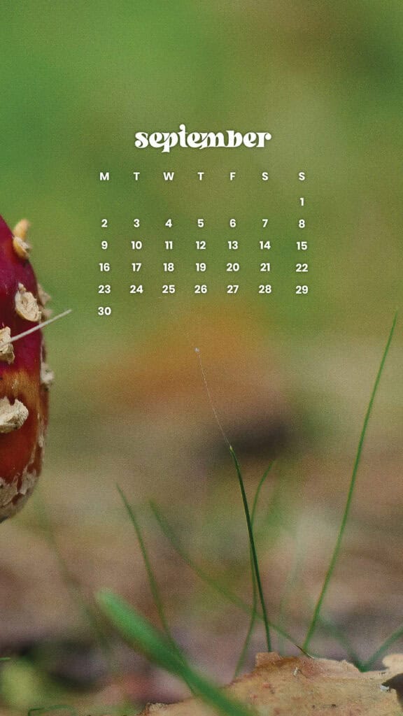 SEPTEMBER 2024 WALLPAPERS – 60 FREE PHONE &amp; DESKTOP CALENDARS + Hispanic Heritage Month Options!, Oh So Lovely Blog