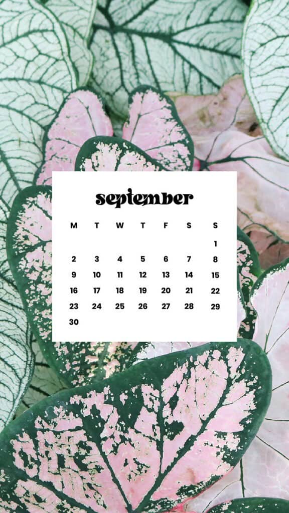 SEPTEMBER 2024 WALLPAPERS – 60 FREE PHONE &amp; DESKTOP CALENDARS + Hispanic Heritage Month Options!, Oh So Lovely Blog