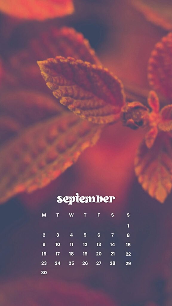 SEPTEMBER 2024 WALLPAPERS – 60 FREE PHONE &amp; DESKTOP CALENDARS + Hispanic Heritage Month Options!, Oh So Lovely Blog