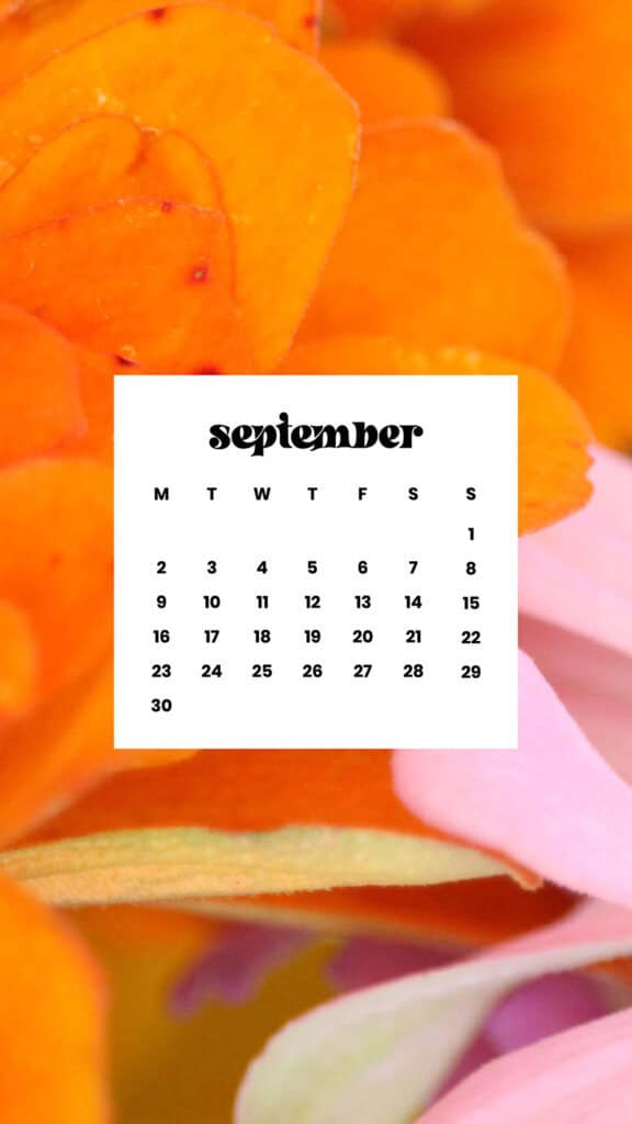 SEPTEMBER 2024 WALLPAPERS – 60 FREE PHONE &amp; DESKTOP CALENDARS + Hispanic Heritage Month Options!, Oh So Lovely Blog