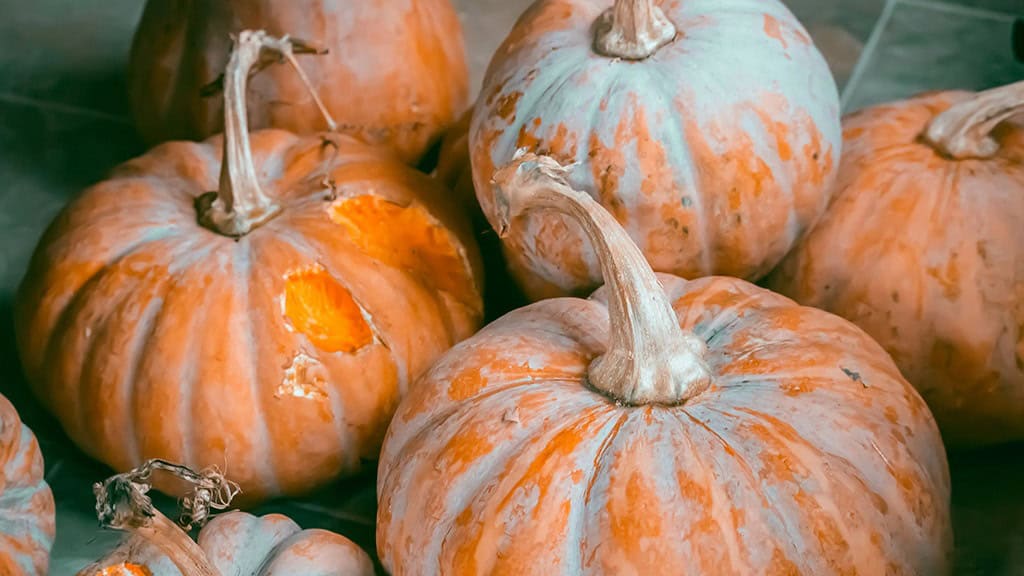SEPTEMBER 2024 WALLPAPERS – 60 FREE PHONE &amp; DESKTOP CALENDARS + Hispanic Heritage Month Options!, Oh So Lovely Blog