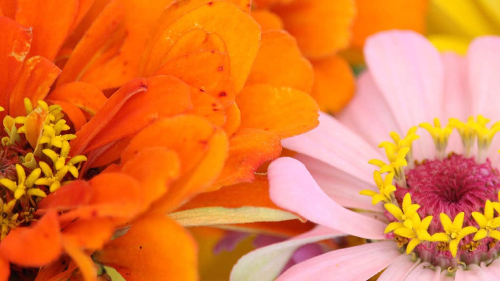SEPTEMBER 2024 WALLPAPERS – 60 FREE PHONE &amp; DESKTOP CALENDARS + Hispanic Heritage Month Options!, Oh So Lovely Blog