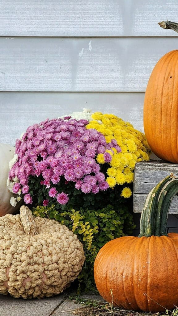 SEPTEMBER 2024 WALLPAPERS – 60 FREE PHONE &amp; DESKTOP CALENDARS + Hispanic Heritage Month Options!, Oh So Lovely Blog