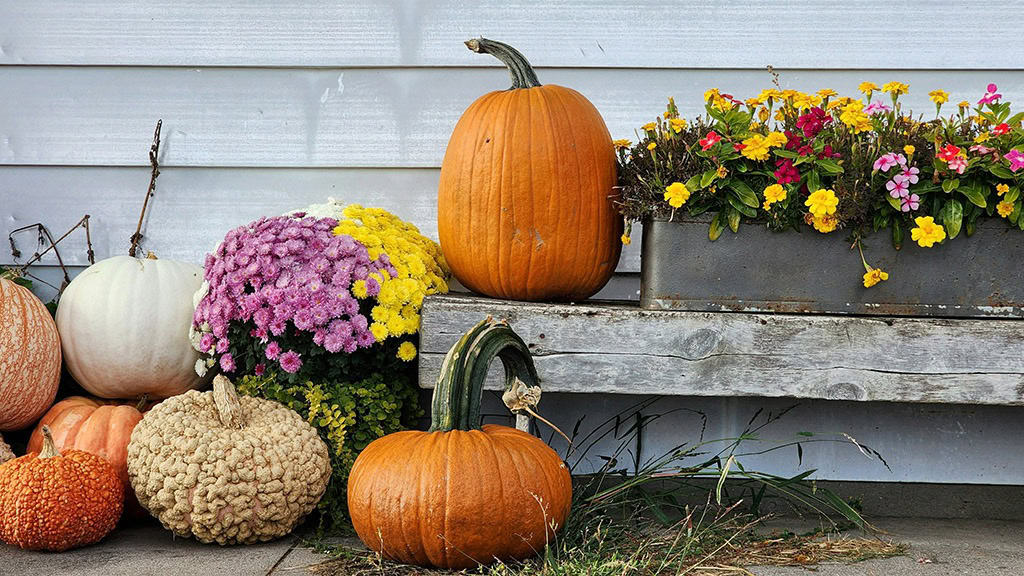 SEPTEMBER 2024 WALLPAPERS – 60 FREE PHONE &amp; DESKTOP CALENDARS + Hispanic Heritage Month Options!, Oh So Lovely Blog
