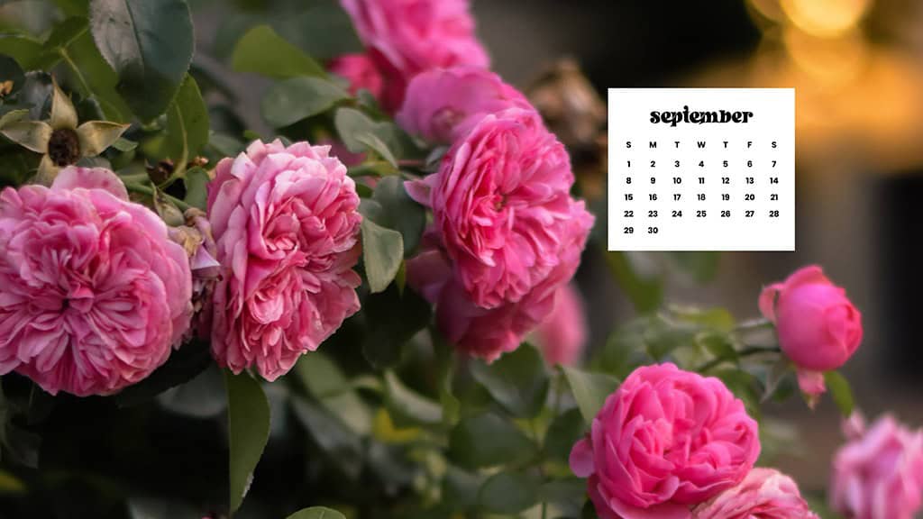 SEPTEMBER 2024 WALLPAPERS – 60 FREE PHONE &amp; DESKTOP CALENDARS + Hispanic Heritage Month Options!, Oh So Lovely Blog