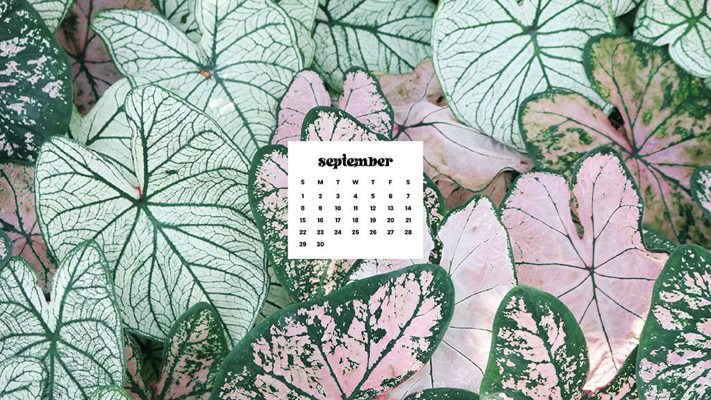 SEPTEMBER 2024 WALLPAPERS – 60 FREE PHONE &amp; DESKTOP CALENDARS + Hispanic Heritage Month Options!, Oh So Lovely Blog
