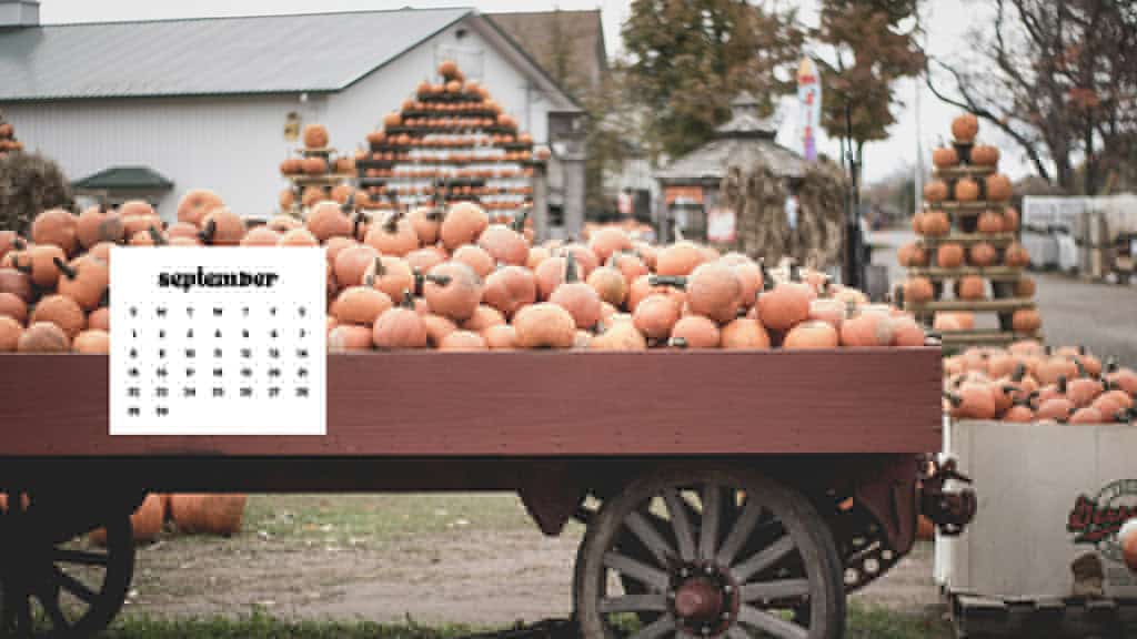 SEPTEMBER 2024 WALLPAPERS – 60 FREE PHONE &amp; DESKTOP CALENDARS + Hispanic Heritage Month Options!, Oh So Lovely Blog