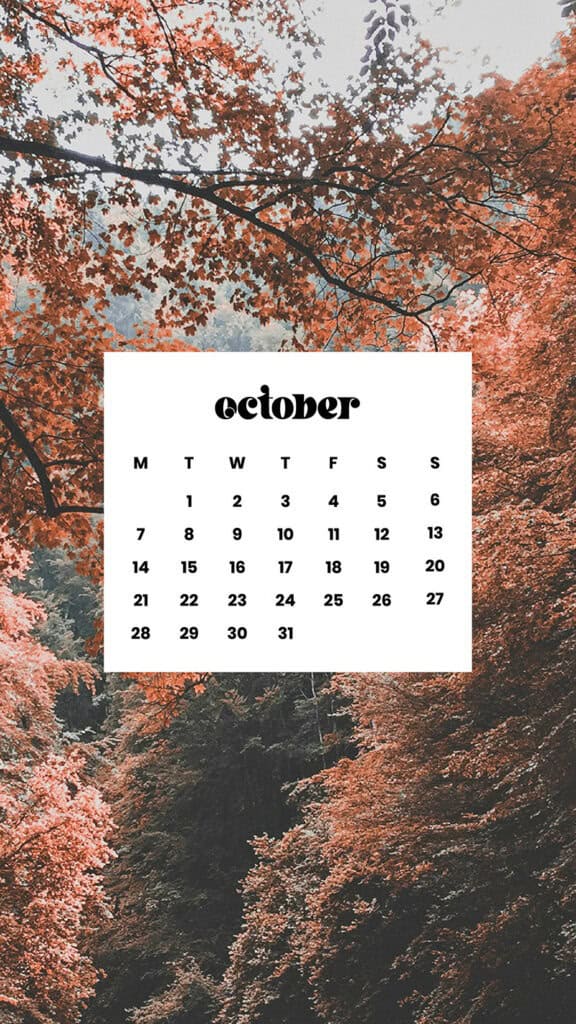 OCTOBER 2024 WALLPAPERS – 60 FREE PHONE &amp; DESKTOP CALENDARS!, Oh So Lovely Blog