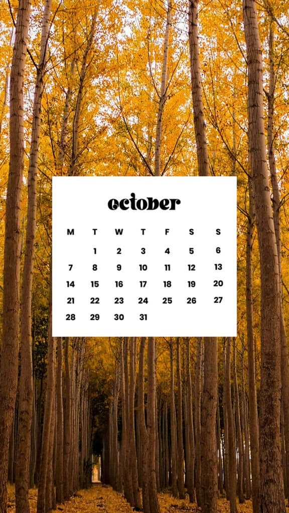 OCTOBER 2024 WALLPAPERS – 60 FREE PHONE &amp; DESKTOP CALENDARS!, Oh So Lovely Blog