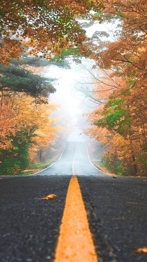OCTOBER 2024 WALLPAPERS – 60 FREE PHONE &amp; DESKTOP CALENDARS!, Oh So Lovely Blog